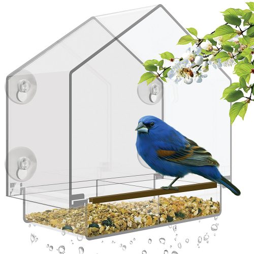  Nature's Hangout Window Bird Feeder