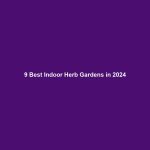 9 Best Indoor Herb Gardens in 2025 9 Best Indoor Herb Gardens in 2024
