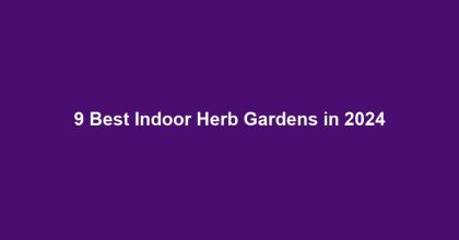 9 Best Indoor Herb Gardens in 2024