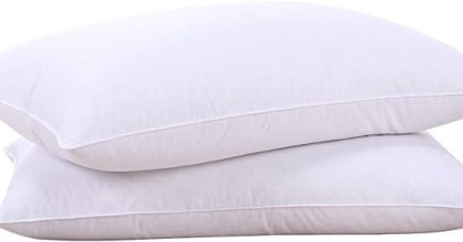 Puredown goose feathers and down white pillows set of 2