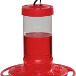 6 Best Hummingbird Feeders of 2025: Attracting Beauty to Your Backyard First Nature 993051-546 16 oz. Hummingbird Feeder, Red