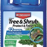 6 Best Fertilizers for a Lush and Thriving Garden, According to Gardening Experts in 2025 BioAdvanced 12 Month Tree and Shrub Protect and Feed II, Concentrate, 1 Gal