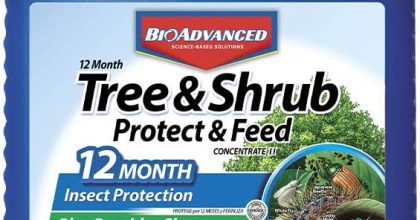 Bioadvanced 12 month tree and shrub protect and feed ii, concentrate, 1 gal