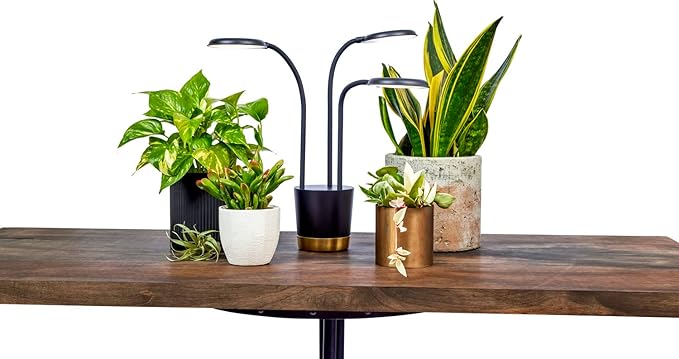 AeroGarden Trio Grow Light for Indoor Plants