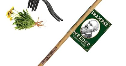 Grampas Weeder Stand Up Weed Puller Tool