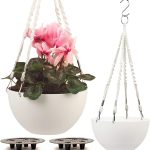 3 Best Planters in 2025 Serenehuman Self Watering Hanging Planters for Indoor Plants