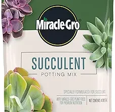 Miracle gro succulent potting mix for indoor cactus plants