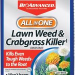 6 Best Crabgrass Killers in 2025 BioAdvanced All-In-One Lawn Weed and Crabgrass Killer I, Concentrate, 40 oz
