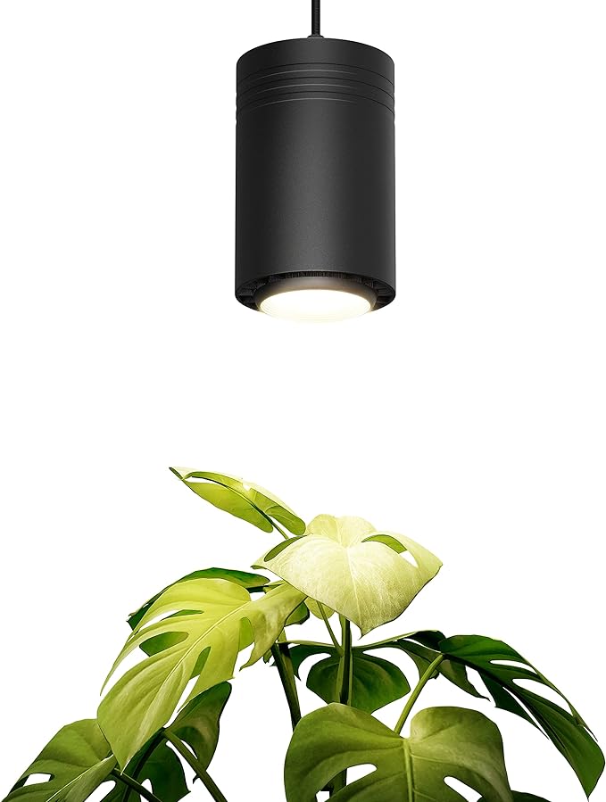 Aspect Worlds Decor Grow Light for Medium and Large Plants