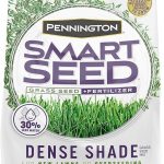 7 Best Grass Seeds in 2025 Pennington Smart Seed Dense Shade Grass Mix 7 lb