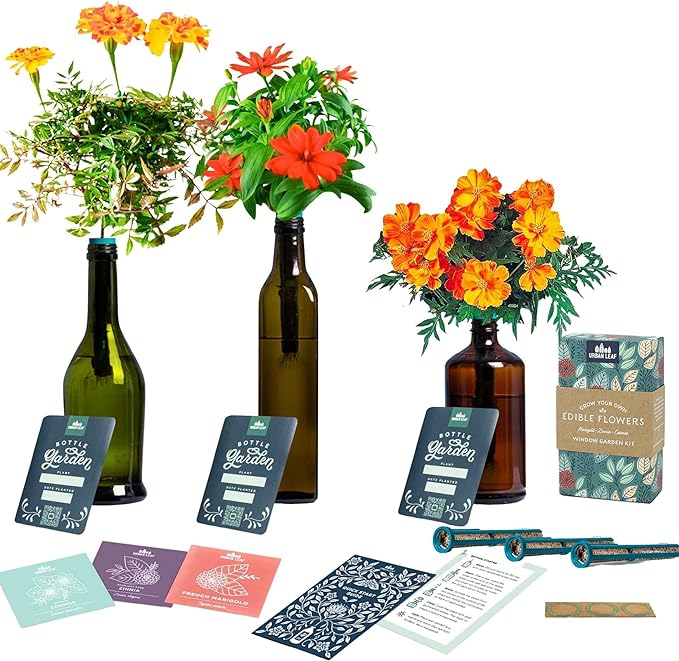 Herb Garden Kit Indoor - Grow Fresh Herbs