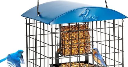 Caged suet bird feeders squirrel proof
