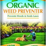 5 Best Weed and Feeds in 2025 Espoma Organic Weed Preventer-25 lb. CGP25, 25 lb